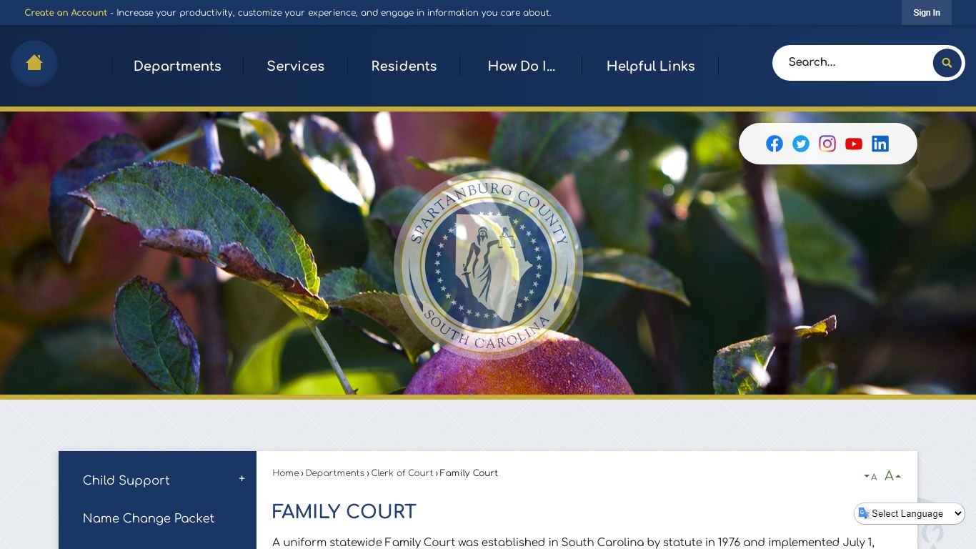 Family Court | Spartanburg County, SC